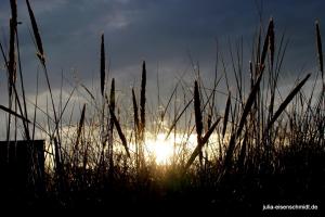 20200829 Urlaub Haurvig 01