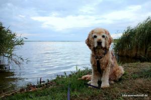 20200829 Urlaub Haurvig 02