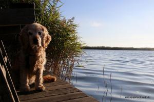 20200829 Urlaub Haurvig 26