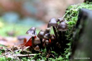 20201010 CoT Wuppertal 02
