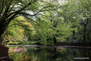 20201010 CoT Wuppertal 10