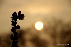 20201018 Halde Haniel 03