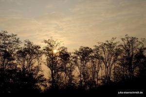 20201018 Halde Haniel 04