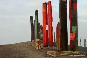 20201018 Halde Haniel 05