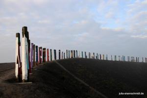 20201018 Halde Haniel 06