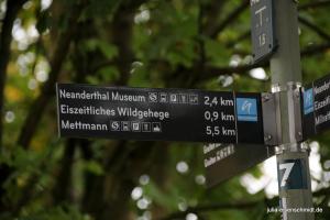 20201017 Neandertal 11