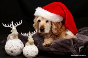 20201219 XMas Shooting 02