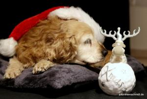 20201219 XMas Shooting 06