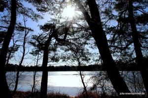 20210221 CoT Verden 02