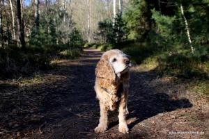 20210221 CoT Verden 07