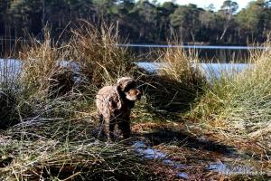 20210221 CoT Verden 08