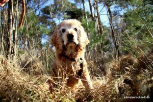 20210221 CoT Verden 09
