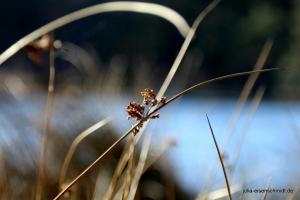 20210221 CoT Verden 10