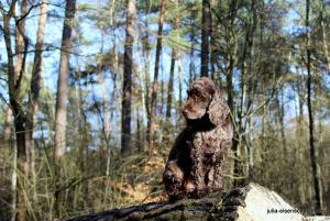 20210221 CoT Verden 12