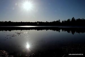20210221 CoT Verden 17