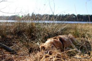 20210221 CoT Verden 18