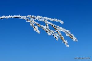 20210213 Rodeln 10