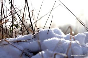 20210214 Winter Meyenburg 02