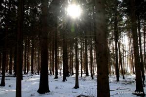 20210214 Winter Meyenburg 04