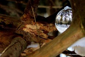 20210214 Winter Meyenburg 05