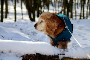 20210214 Winter Meyenburg 07