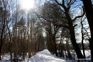 20210214 Winter Meyenburg 08