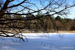 20210214 Winter Meyenburg 10