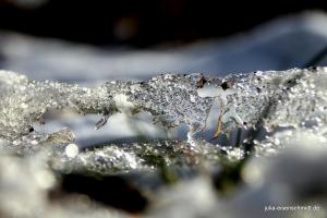 20210214 Winter Meyenburg 12