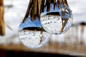 20210214 Winter Meyenburg 13