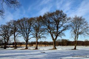 20210214 Winter Meyenburg 14