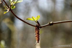 20210325 Hespertal 02
