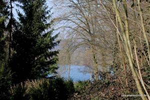 20210325 Hespertal 14