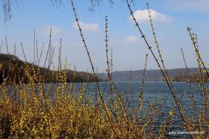 20210325 Hespertal 16