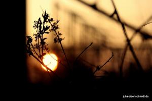 20210326 Zollverein 01