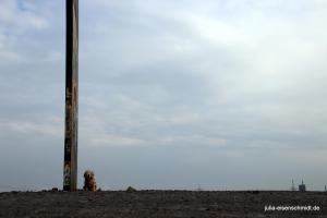 20210418 Schurenbachhalde 08