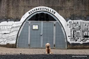 20210418 Schurenbachhalde 15