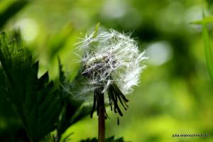 20210513 CoT Muelheim 05