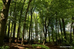 20210513 CoT Muelheim 07