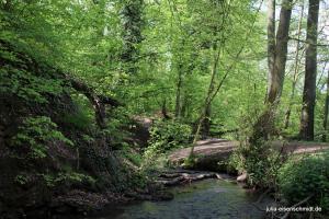 20210513 CoT Muelheim 09