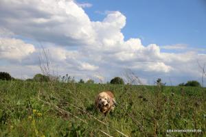 20210513 CoT Muelheim 20