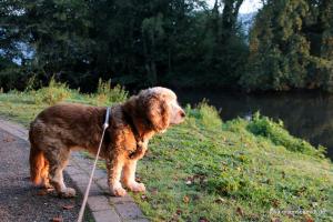 20210906 Baldeneysee 03