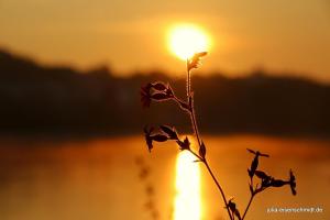 20210906 Baldeneysee 05