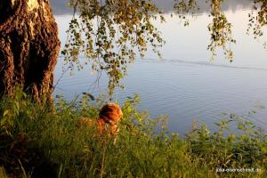 20210906 Baldeneysee 07