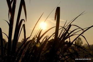 20210906 Baldeneysee 08