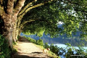 20210906 Baldeneysee 15
